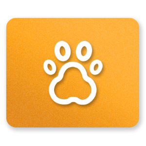 Picture for category Dog Park Furniture